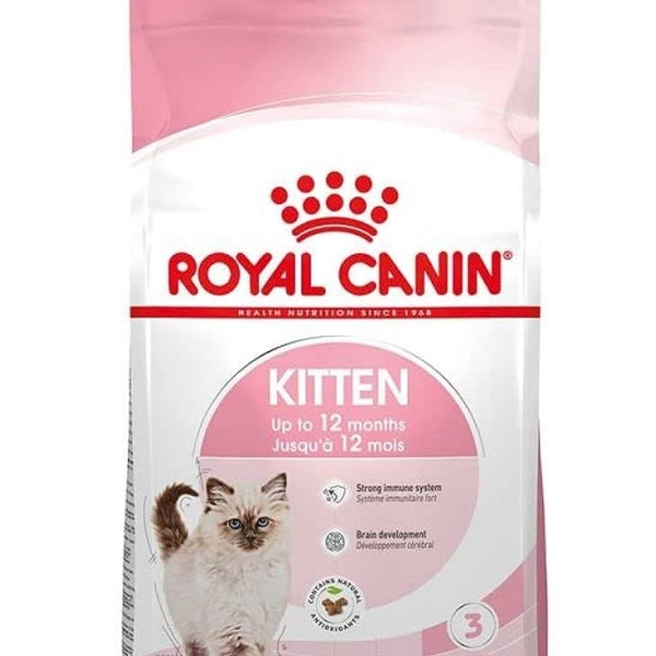 royal canin kitten